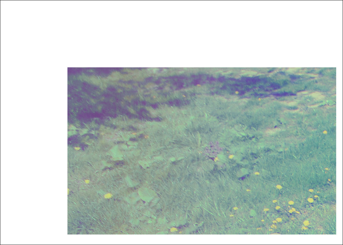  (699x500, 84Kb)