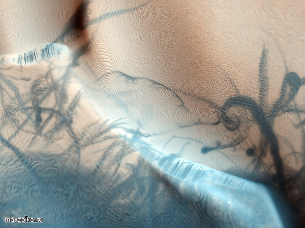   :   Mars Reconnaissance Orbiter  .