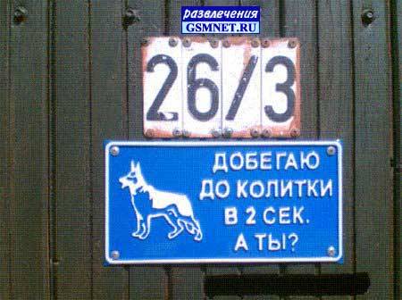  (450x336, 30Kb)