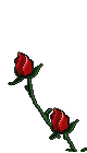  (80x140, 12Kb)