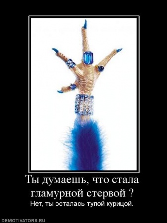  (337x450, 31Kb)