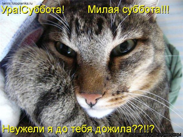  (640x480, 90Kb)
