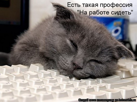  (570x427, 65Kb)