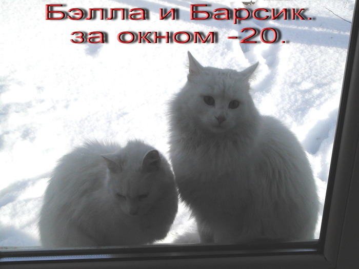  (700x525, 77Kb)
