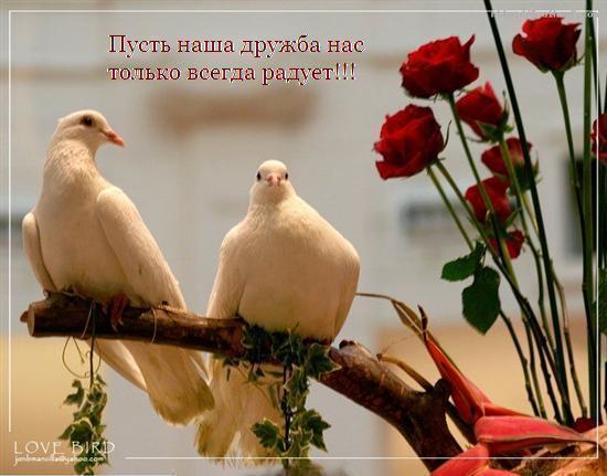  (550x431, 38Kb)