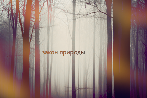  (290x193, 82Kb)