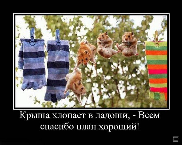  (600x478, 69Kb)
