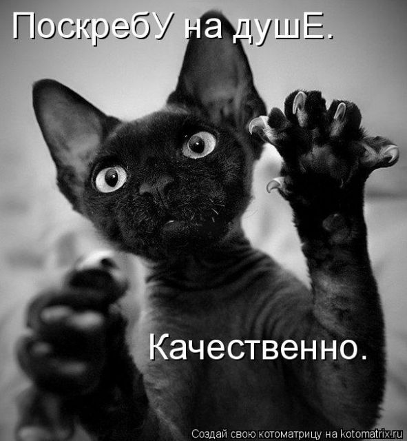  (591x640, 57Kb)