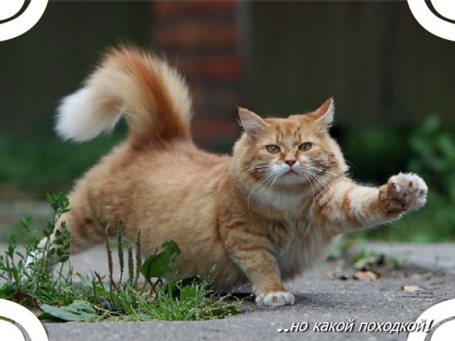  (640x480, 43Kb)