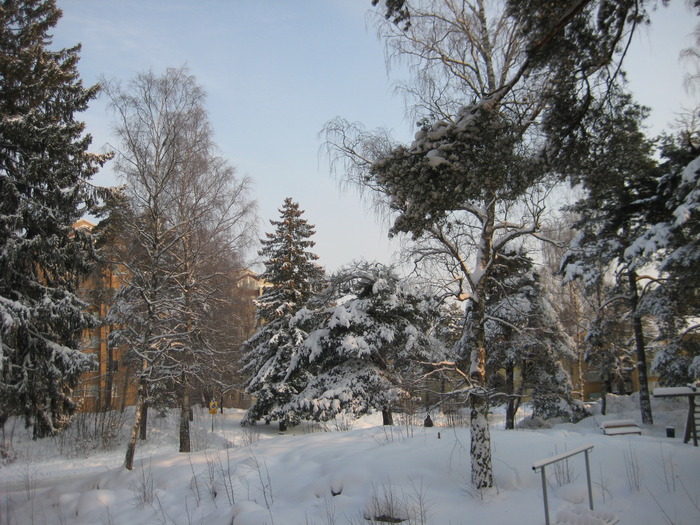 Bild 006_30-01-2010 (700x525, 157 Kb)