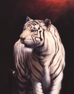  (250x320, 13Kb)