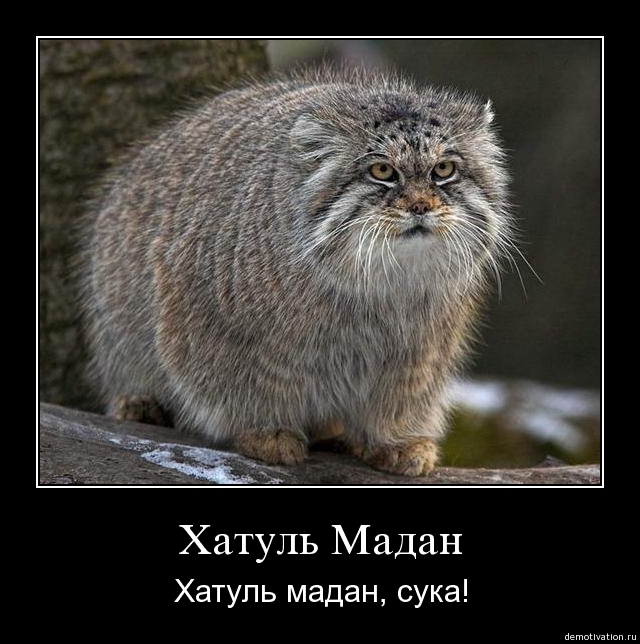  (640x644, 144Kb)