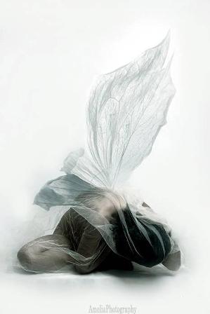  (299x448, 12Kb)