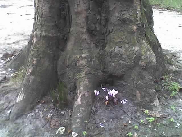  (640x480, 49Kb)