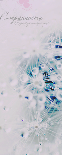  (200x500, 185Kb)