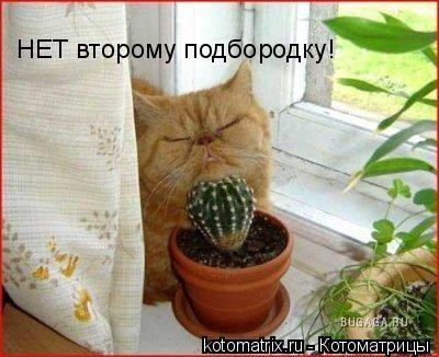  (400x326, 43Kb)