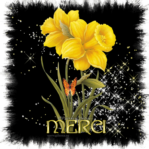 f6a3986dba03 (500x500, 258 Kb)