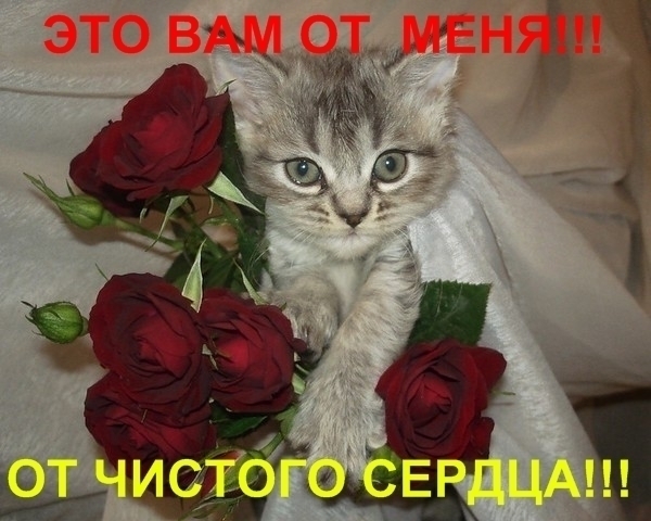  (600x480, 167Kb)