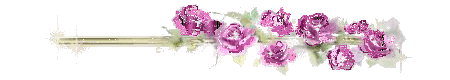  (450x80, 37Kb)