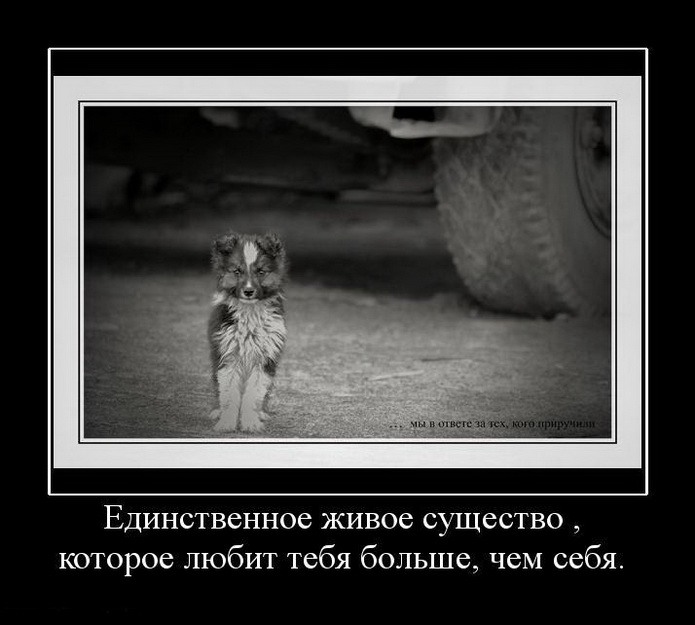  (695x625, 68Kb)