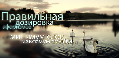 (490x240, 80Kb)