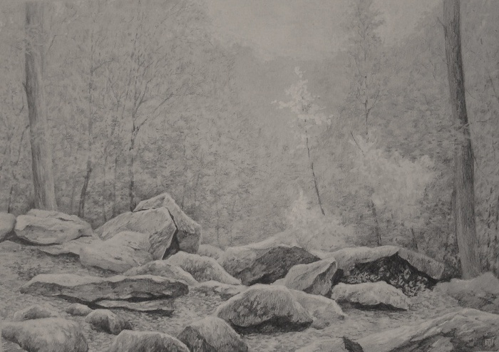 DSC09070 (700x494, 130 Kb)
