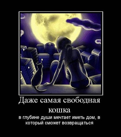 http://img0.liveinternet.ru/images/attach/c/1//55/338/55338858_x_f89e8f8e.jpg