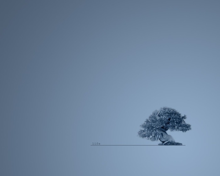 digo (700x560, 20 Kb)