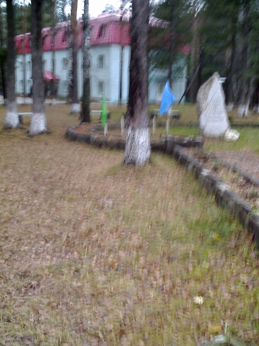  (525x700, 138Kb)