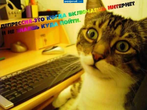 (600x449, 28Kb)