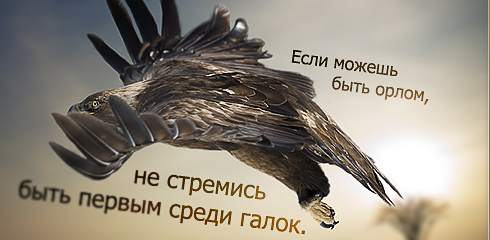  (490x240, 70Kb)