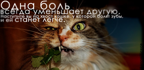  (490x240, 45Kb)