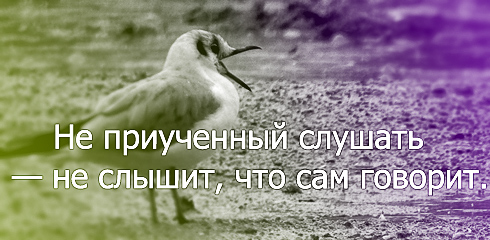  (490x240, 91Kb)