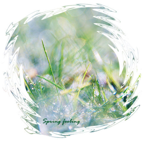 Spring feeling 3 (489x480, 378 Kb)