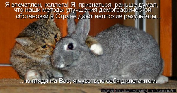  (600x317, 66Kb)