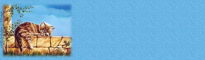  (700x205, 45Kb)