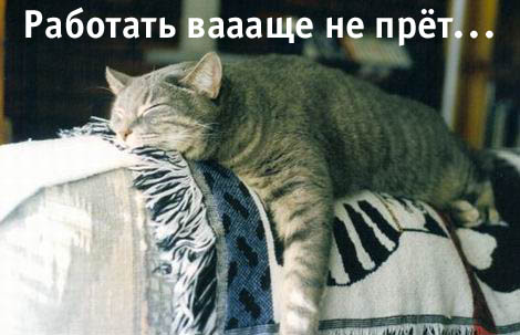 http://img0.liveinternet.ru/images/attach/c/1//55/645/55645197_1267039474_0ce6ff25abdd.jpg