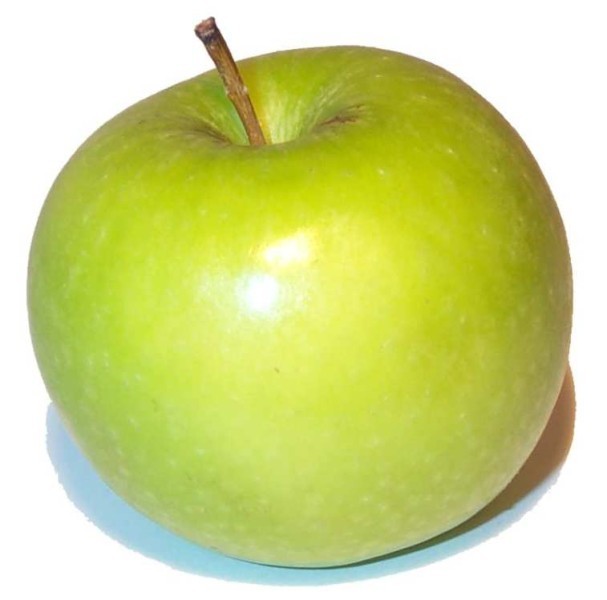  (607x600, 39Kb)