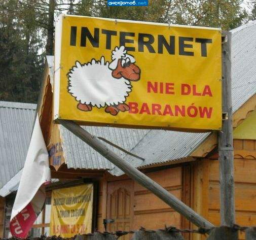  (505x473, 43Kb)