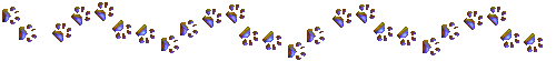 dividers_143 (500x55, 3 Kb)