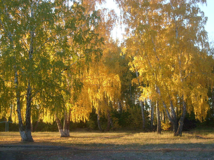  (700x525, 213Kb)