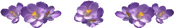  (250x58, 11Kb)