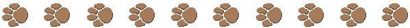  (599x42, 1Kb)