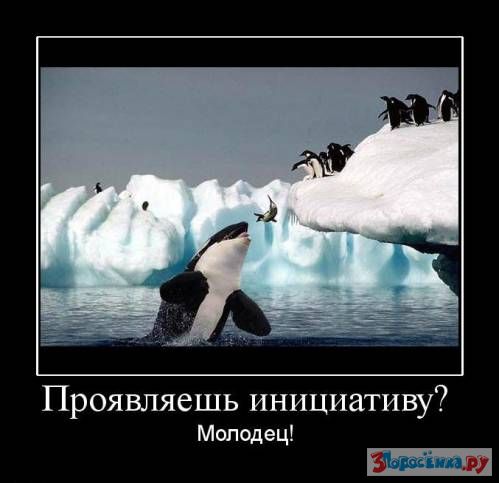  (499x483, 31Kb)