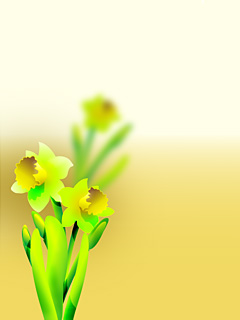  (240x320, 14Kb)