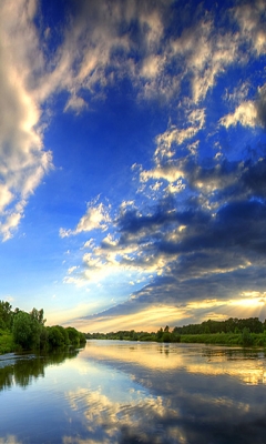 1225717837_wituclub-omnia-walpaper-127 (240x400, 98 Kb)