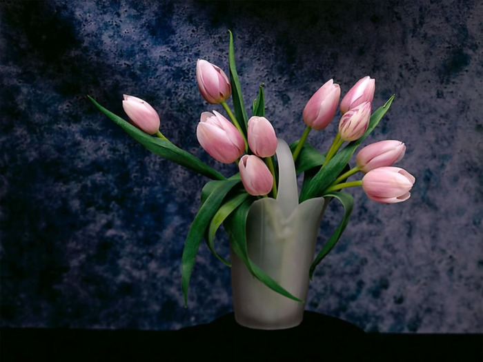 93-1024 (700x525, 98 Kb)