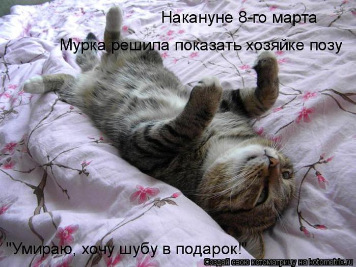  (699x524, 67Kb)