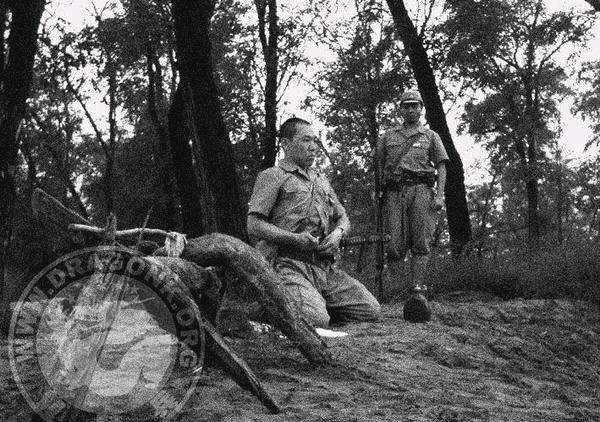 ���1 (600x422, 114 Kb)