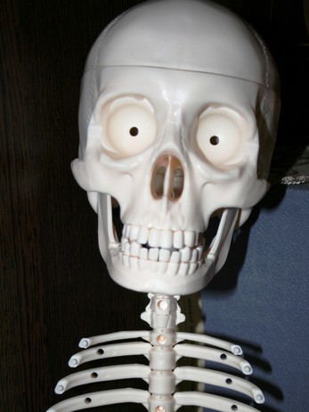  (347x463, 47Kb)